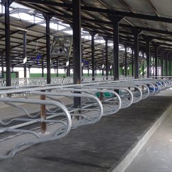 tanriverdi-group-ciftlik-resimleri12